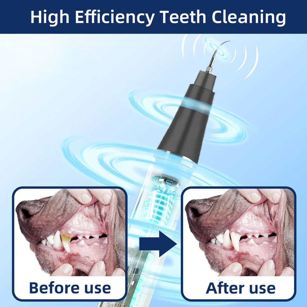 Ultrasonic Pet Plaque Remover with LED Light O181513