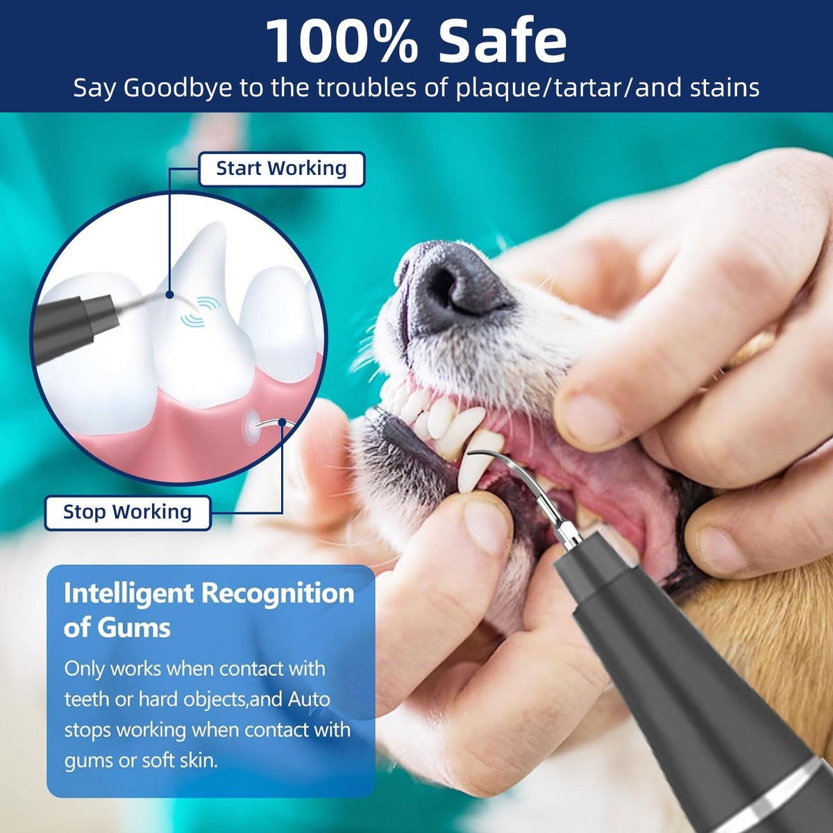 Ultrasonic Pet Plaque Remover with LED Light O181513