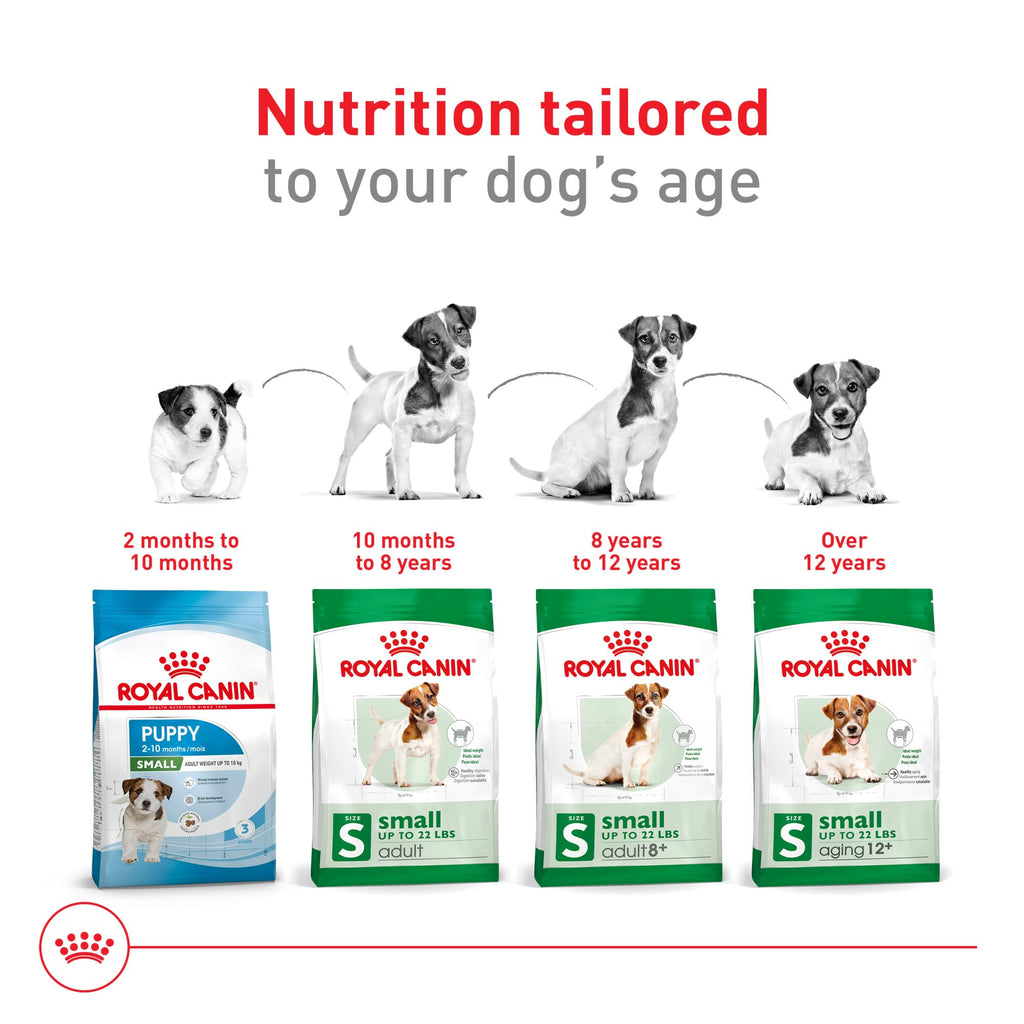 Small Breed Dry Dog Food 14 lb Bag Z11909