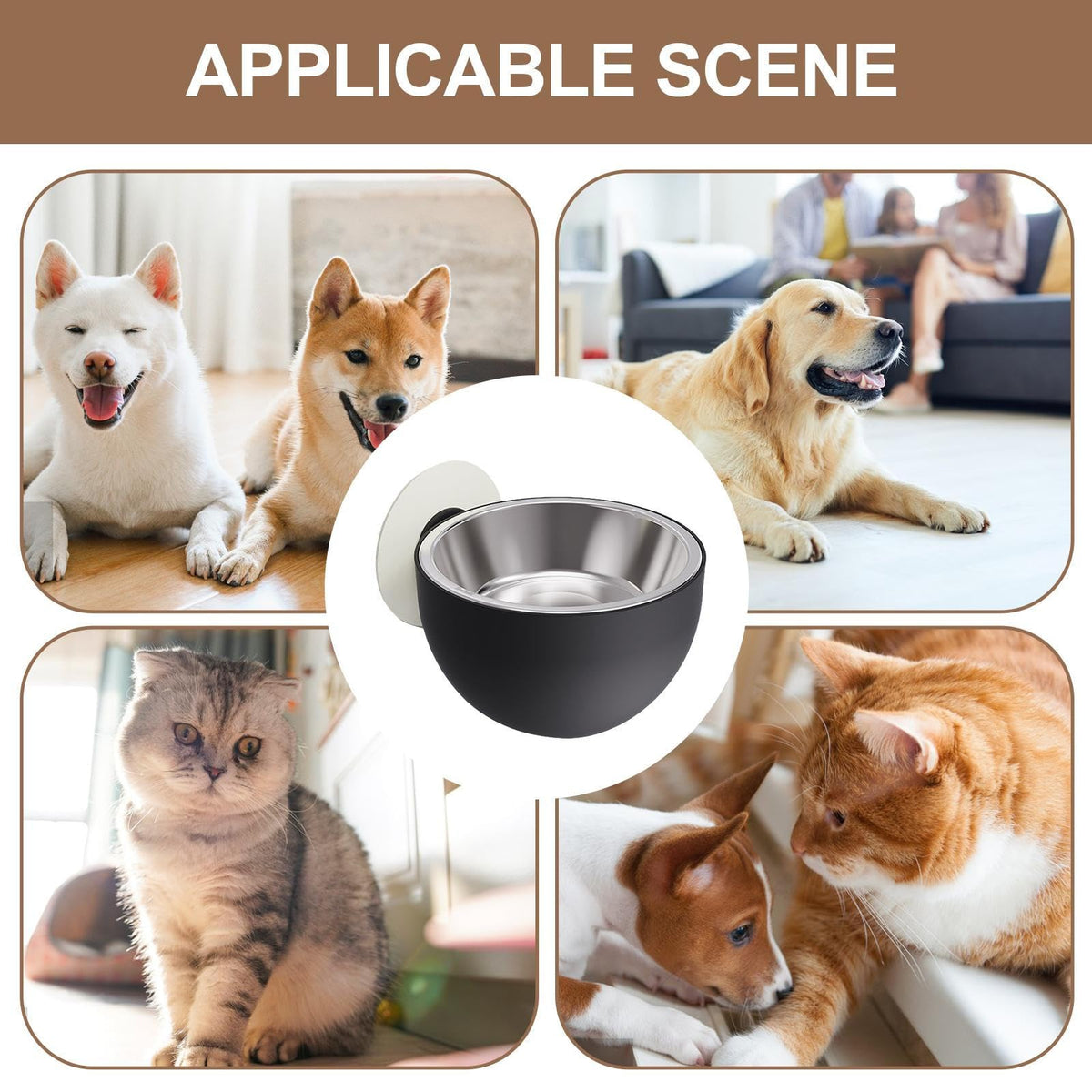 Wall Mounted Pet Bowls Dishwasher Safe K246338