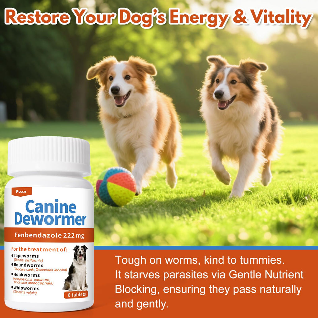 Fenbendazole Tablets for Dogs 6 Tablets U672