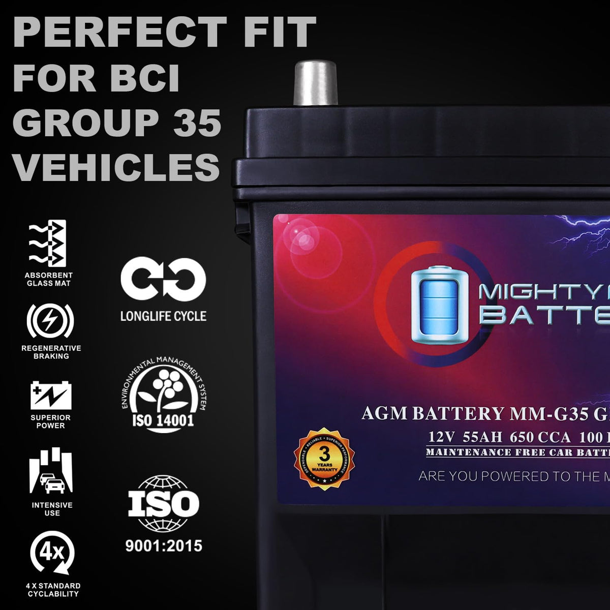 12V 55Ah AGM Replacement Battery C42791