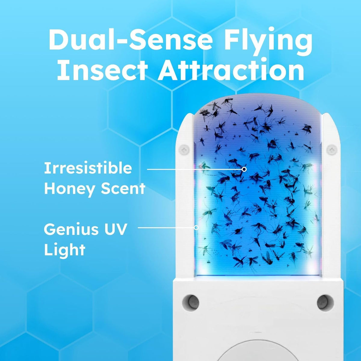 Fruit Fly Trap with UV Light O66620