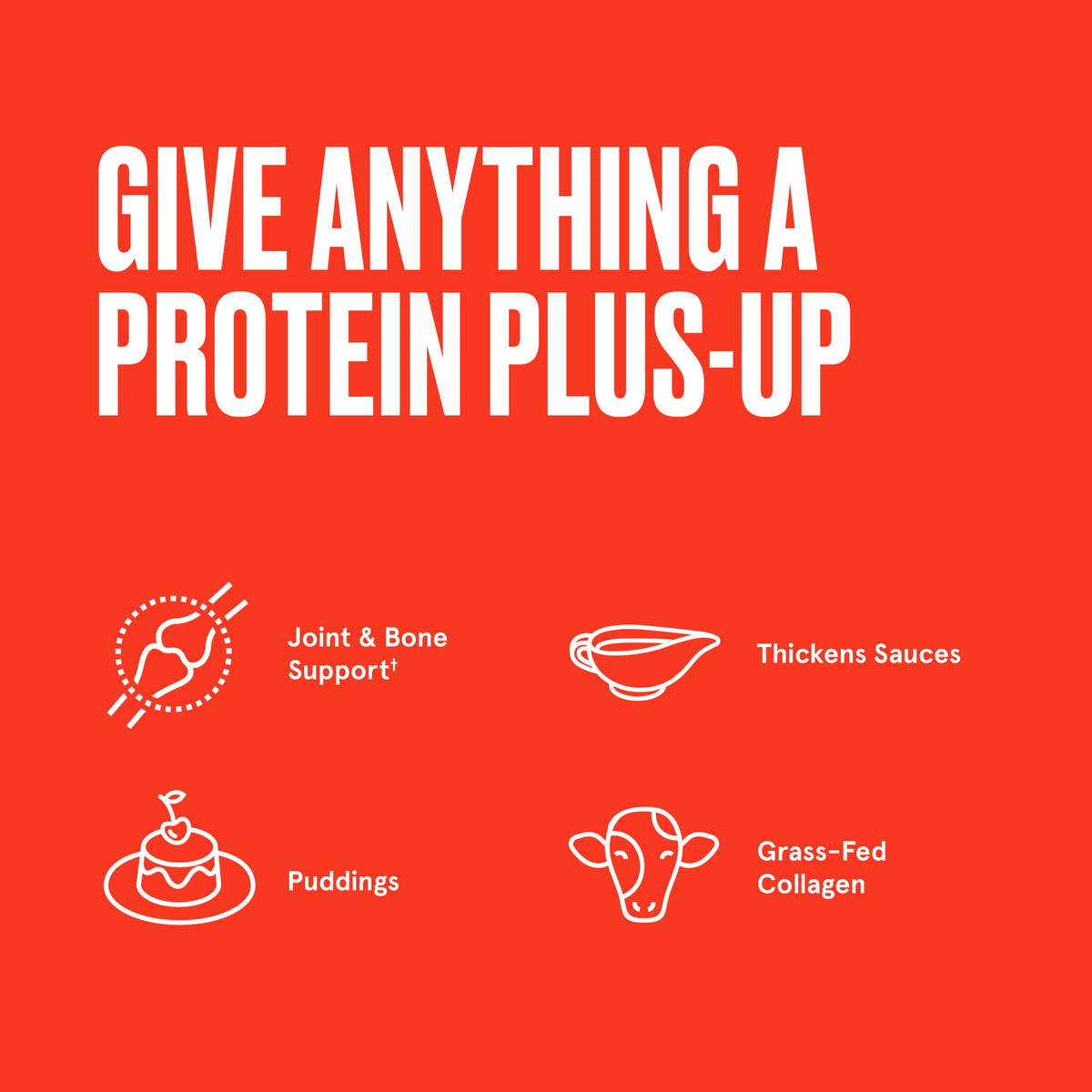 Gelatin with Collagen Protein 16 Ounces U730