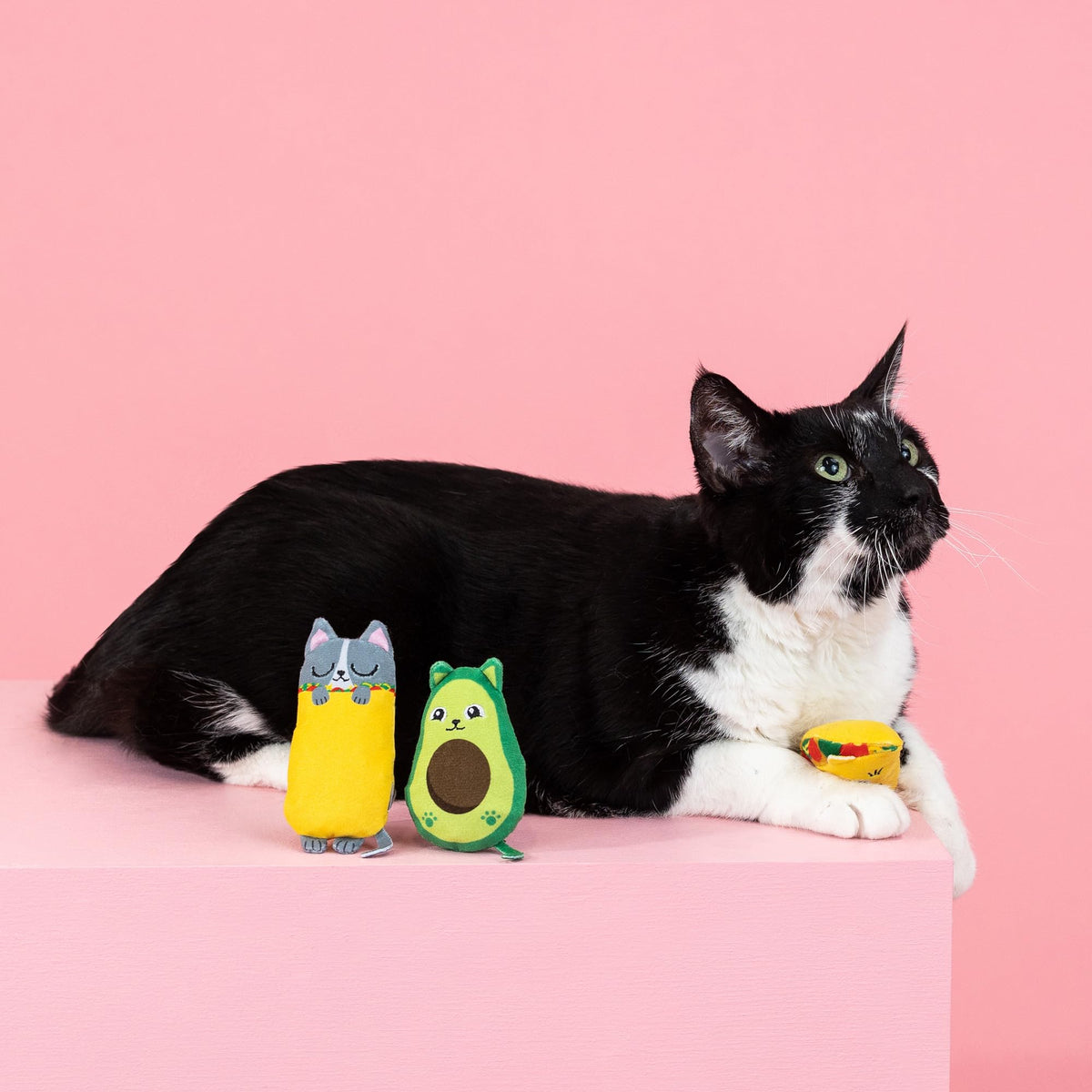 Plush Cat Toy 3 Piece Set A248268