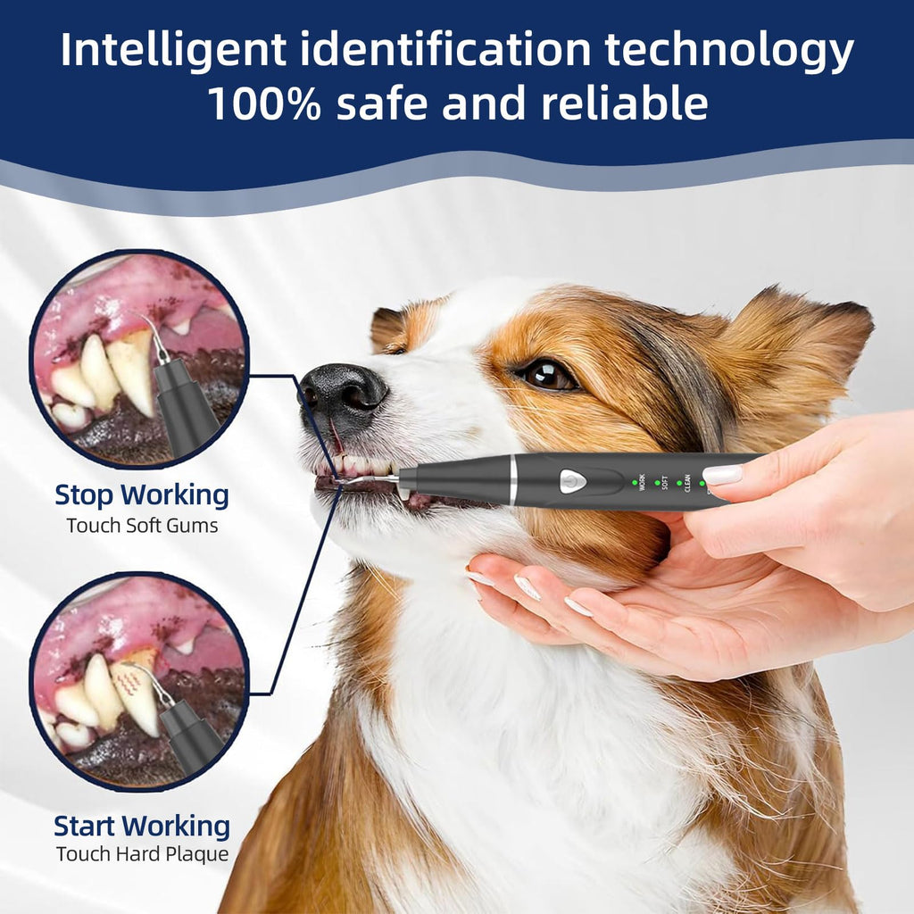 Ultrasonic Pet Plaque Remover with LED Light O181513