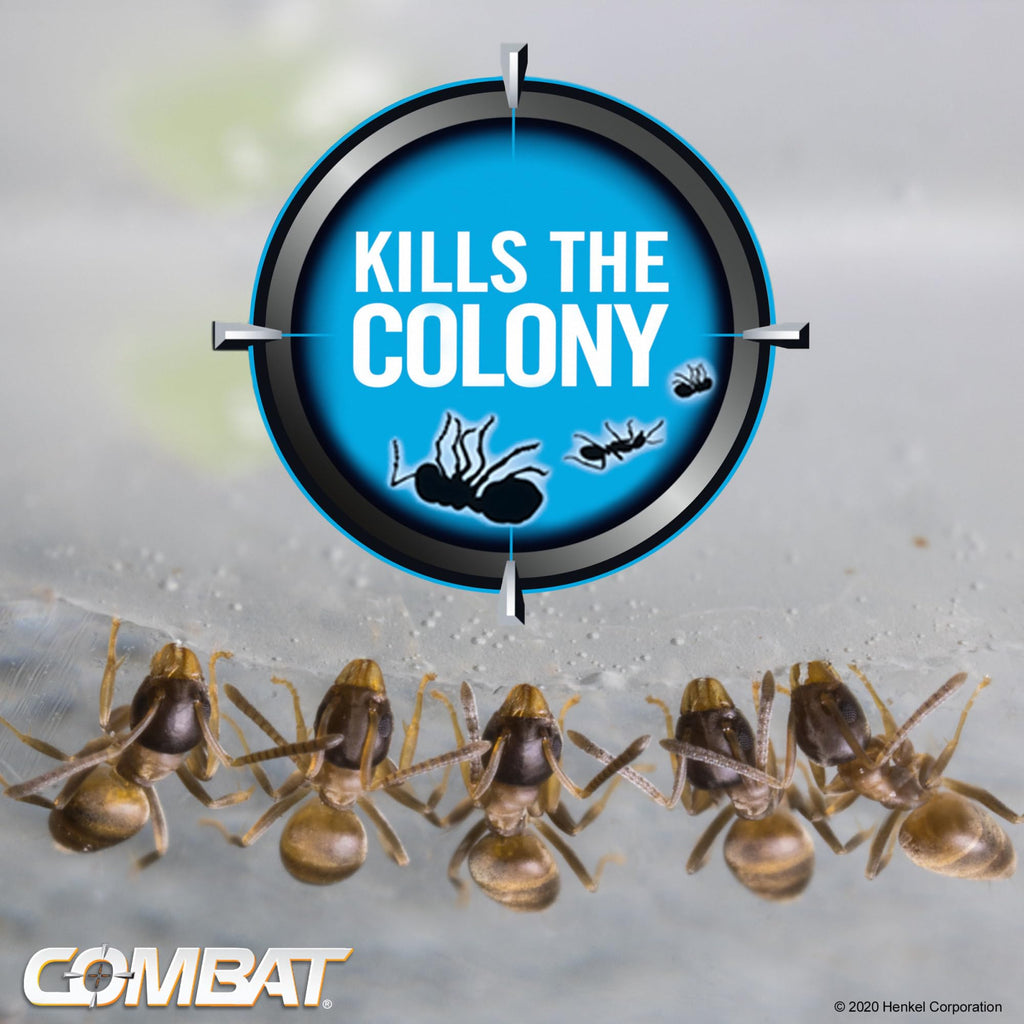 Combat Ant Killing Gel, 27 Gram J235077