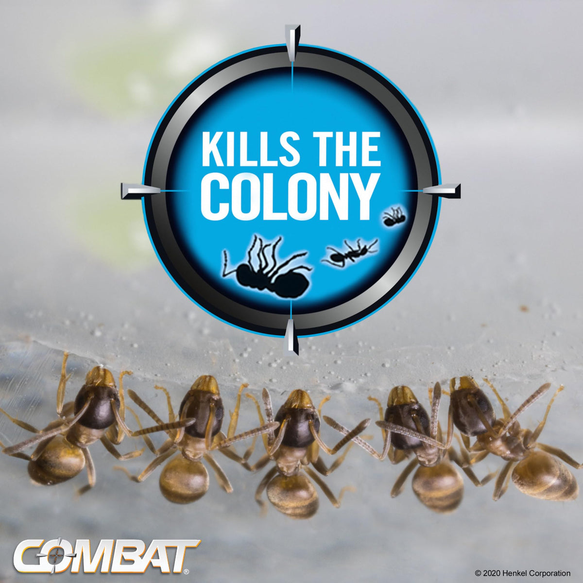 Combat Ant Killing Gel, 27 Gram J235077