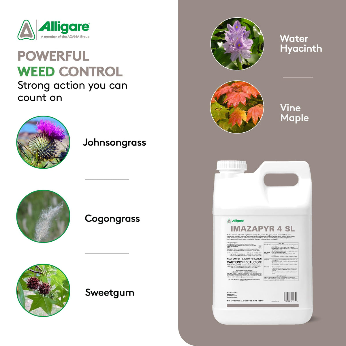 Imazapyr 4 SL Herbicide 2.5 Gallon Liquid Weed Killer L498