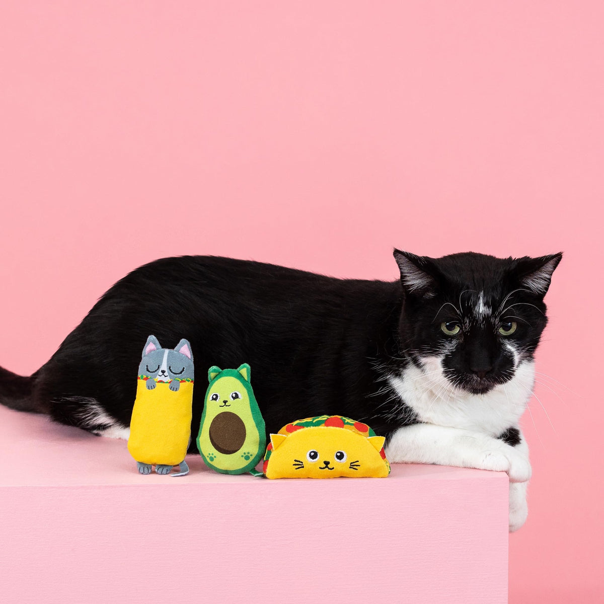 Plush Cat Toy 3 Piece Set A248268
