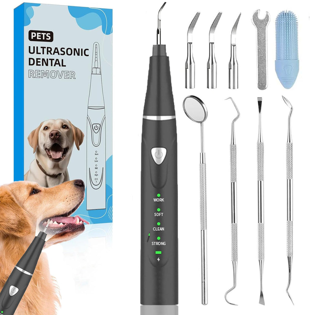 Ultrasonic Pet Plaque Remover with LED Light O181513