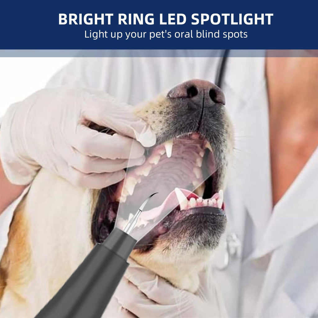 Ultrasonic Pet Plaque Remover with LED Light O181513