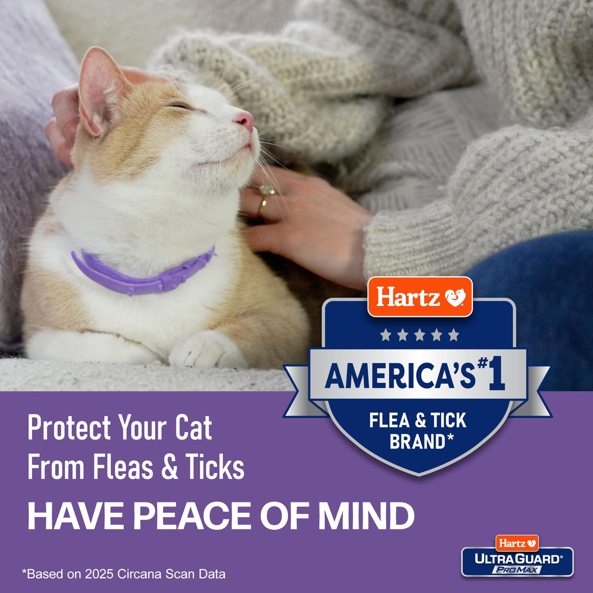 Flea & Tick Collar for Cats & Kittens 2 Pack I1495