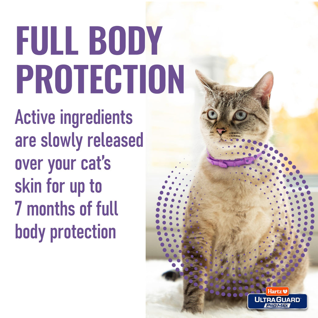 Flea & Tick Collar for Cats & Kittens 2 Pack I1495