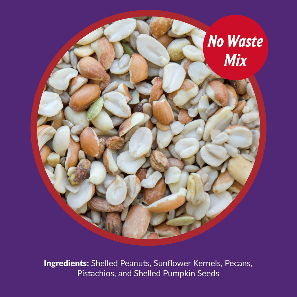 Fruit and Nut Wild Bird Seed Mix 20 lbs H418737