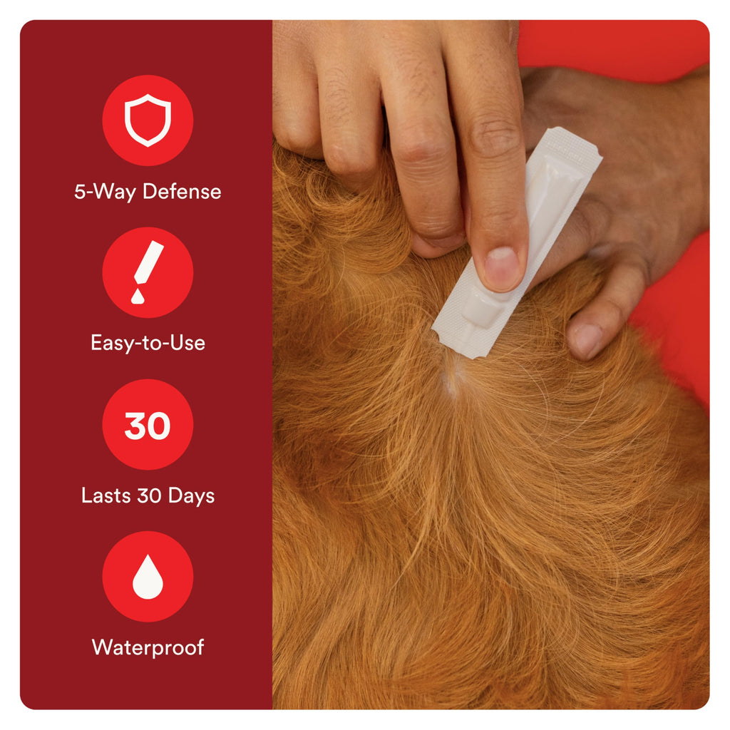 7 Way DeWormer and Flea and Tick Prevention for Small Dogs 6 Count X5898
