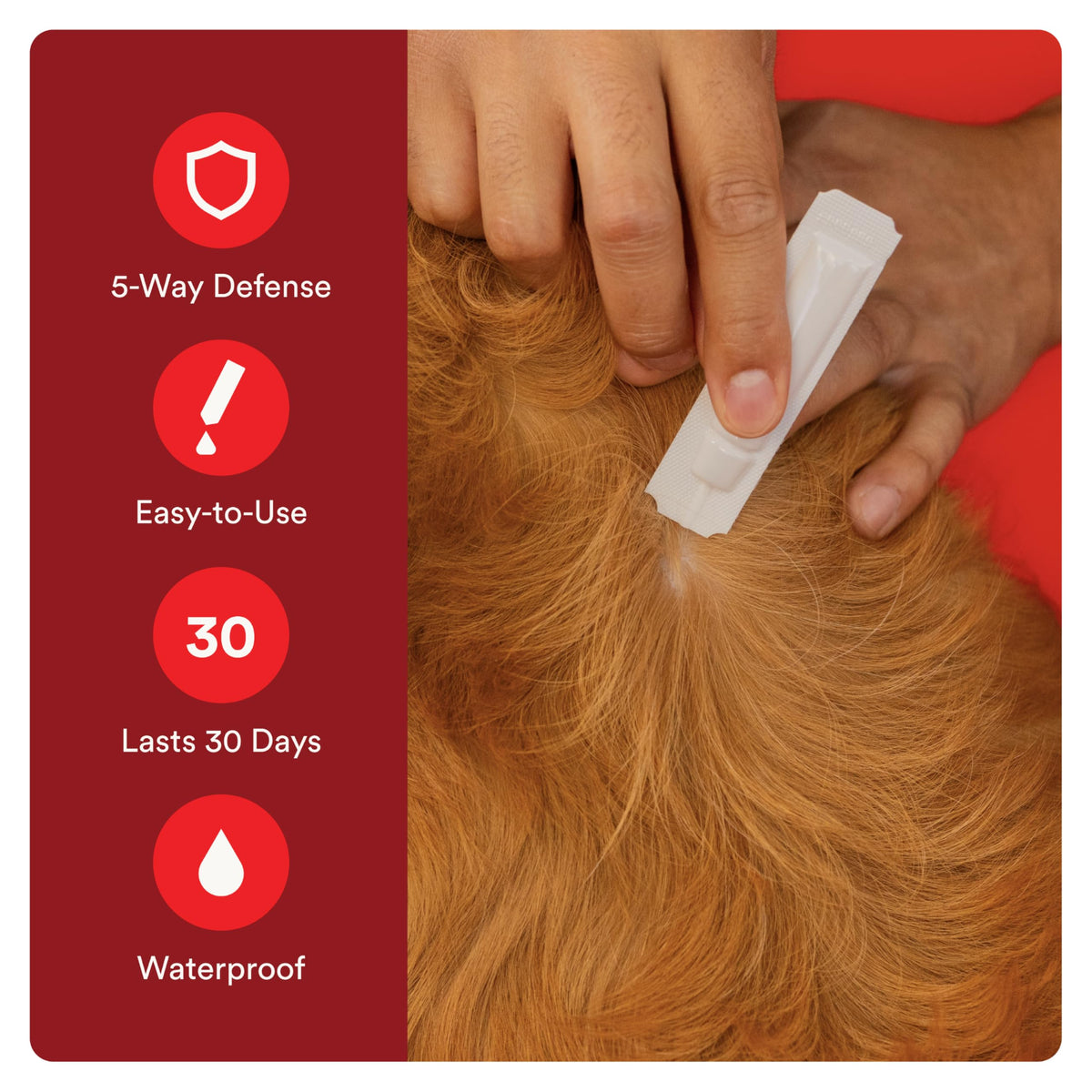 7 Way DeWormer and Flea and Tick Prevention for Small Dogs 6 Count X5898
