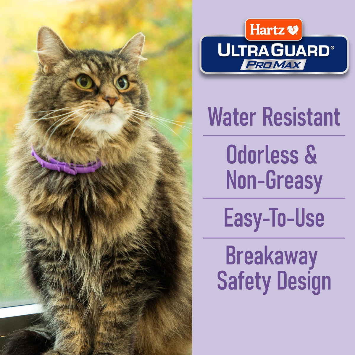 Flea & Tick Collar for Cats & Kittens 2 Pack I1495
