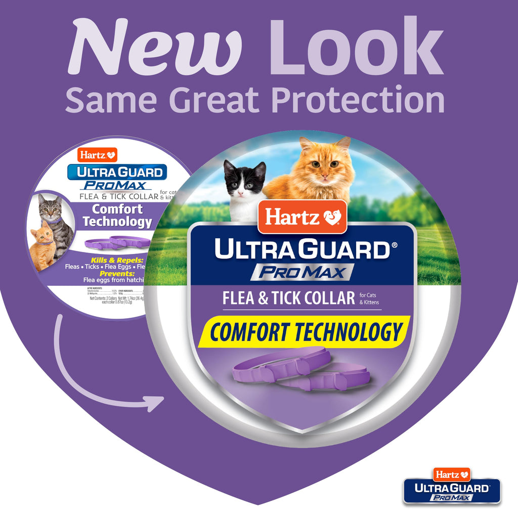 Flea & Tick Collar for Cats & Kittens 2 Pack I1495