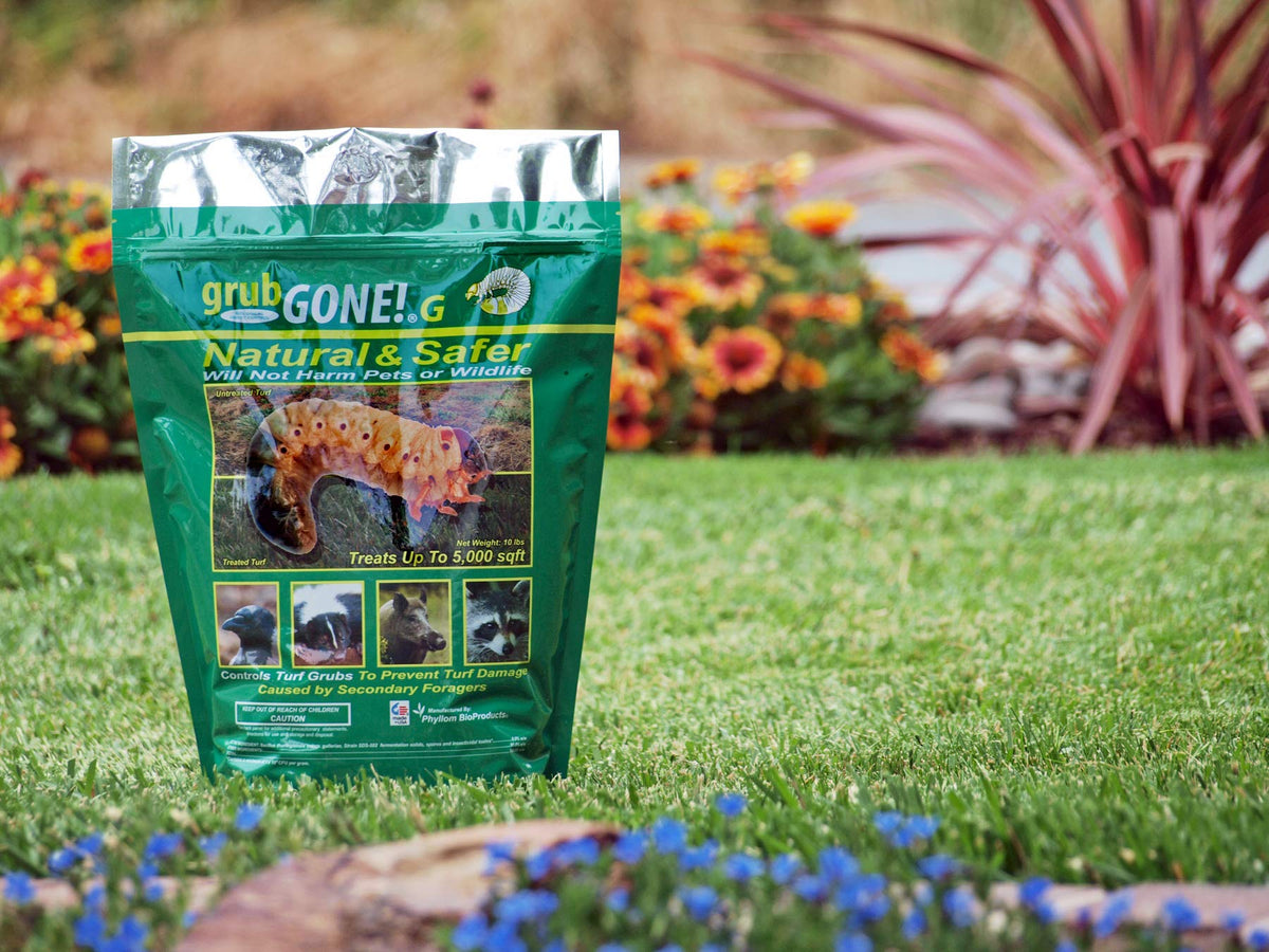 Natural Organic Grub Control Granule K581908