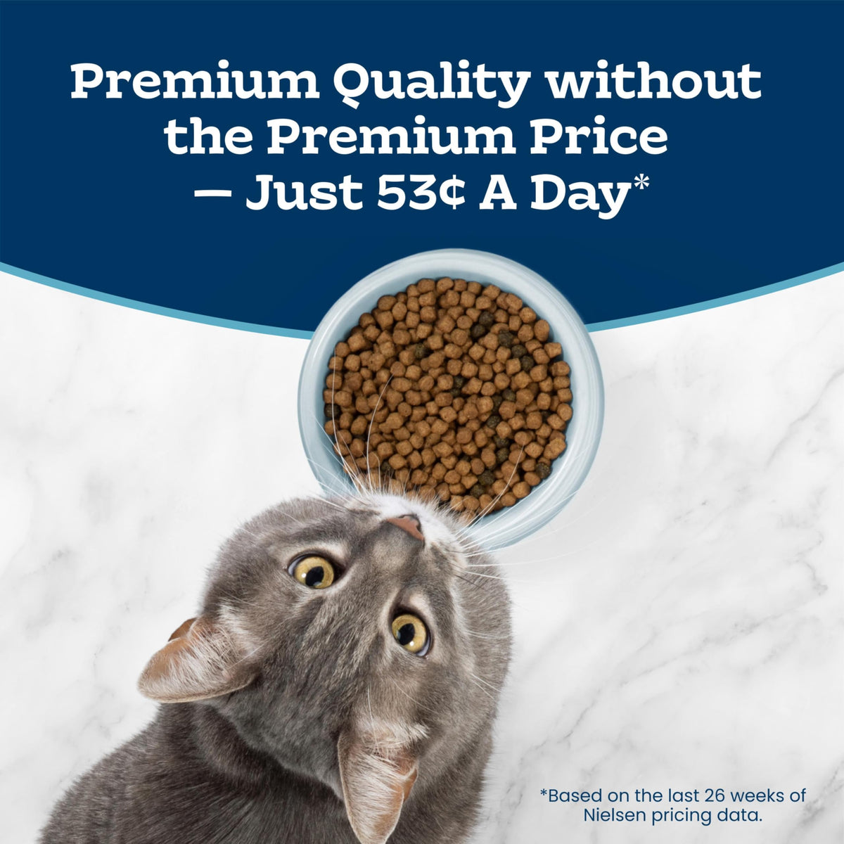 Chicken Sensitive Stomach Dry Cat Food, 3 lb X154158