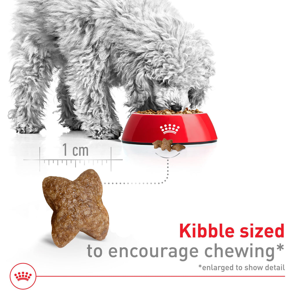 Small Breed Dry Dog Food 14 lb Bag Z11909