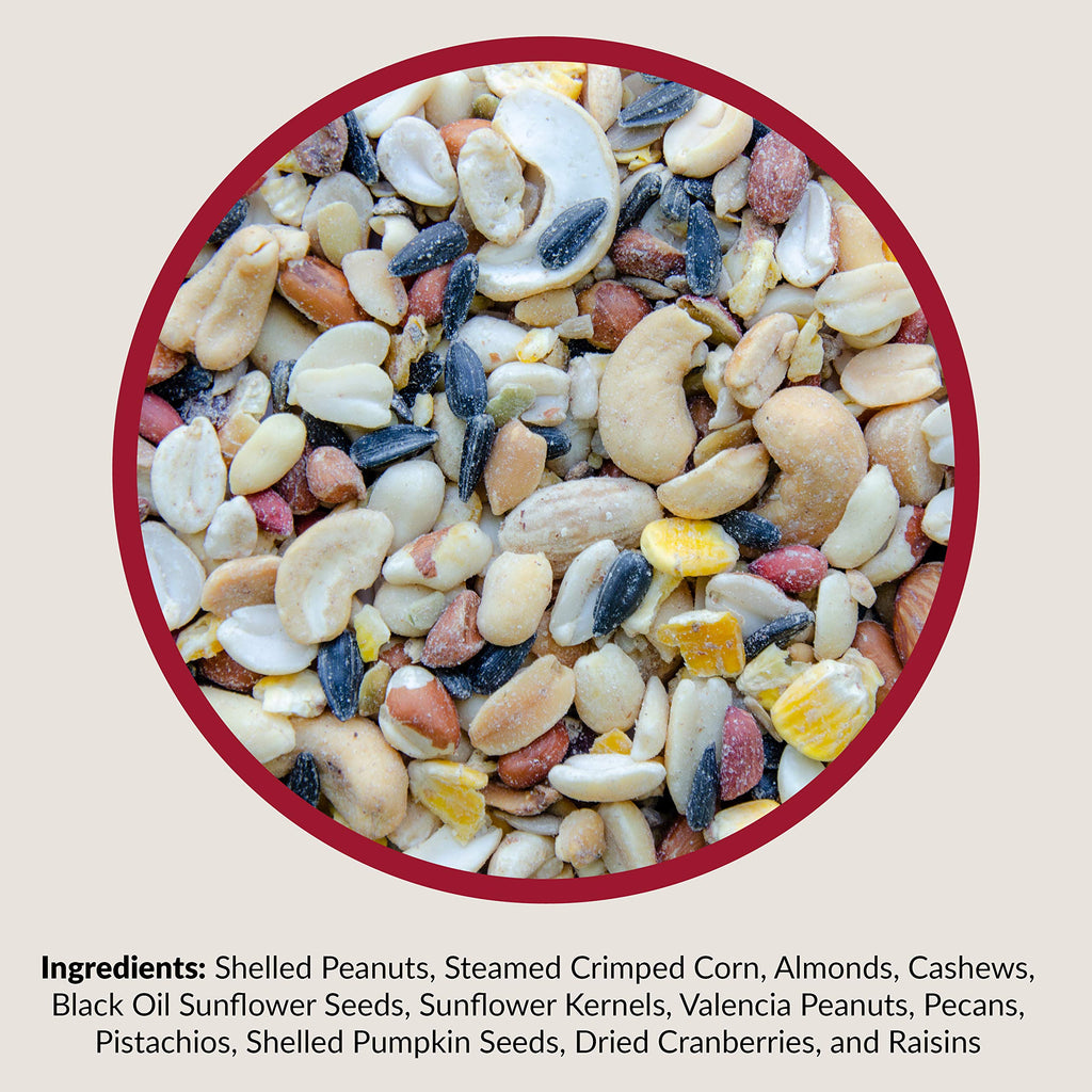 Fruit and Nut Wild Bird Seed Mix 20 lbs H418737